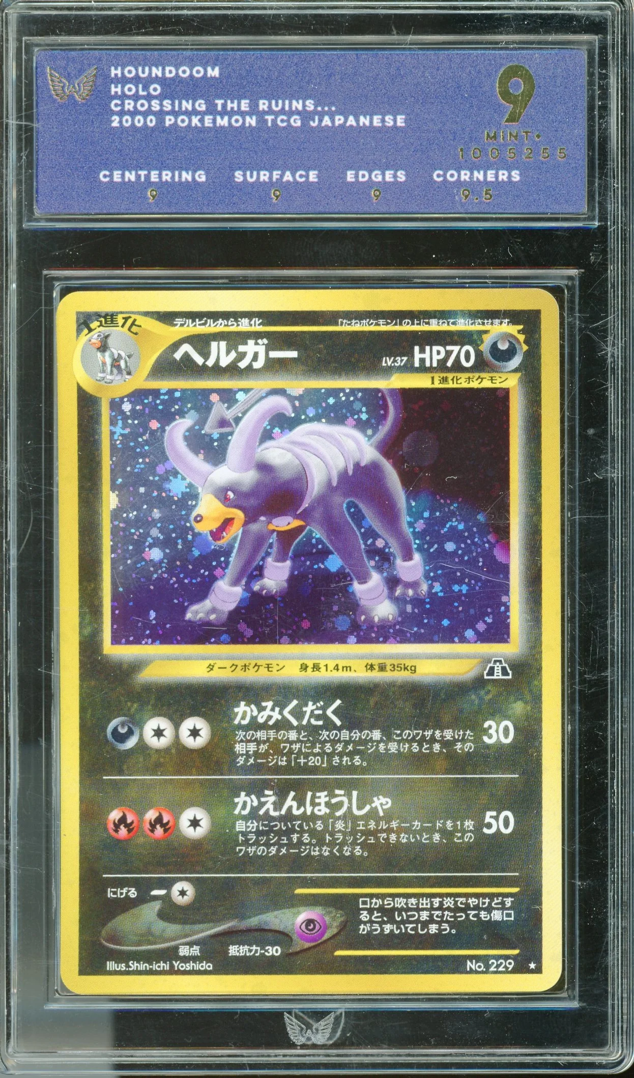 ARK 9 Houndoom Holo (229) [Crossing The Ruins]