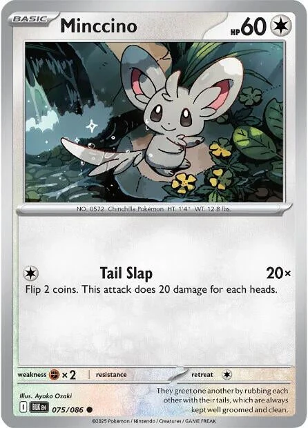 Minccino (075/086) (SV: Black Bolt)