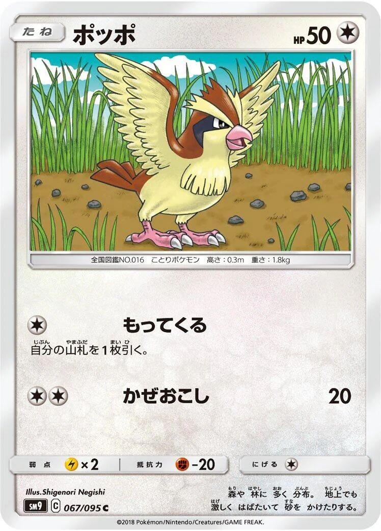 Pidgey (067/095) (SM9: Tag Bolt)