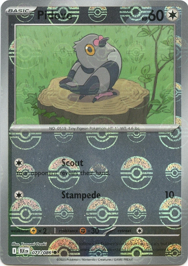 Pidove (Poke Ball Pattern) (071/086) (SV: Black Bolt)