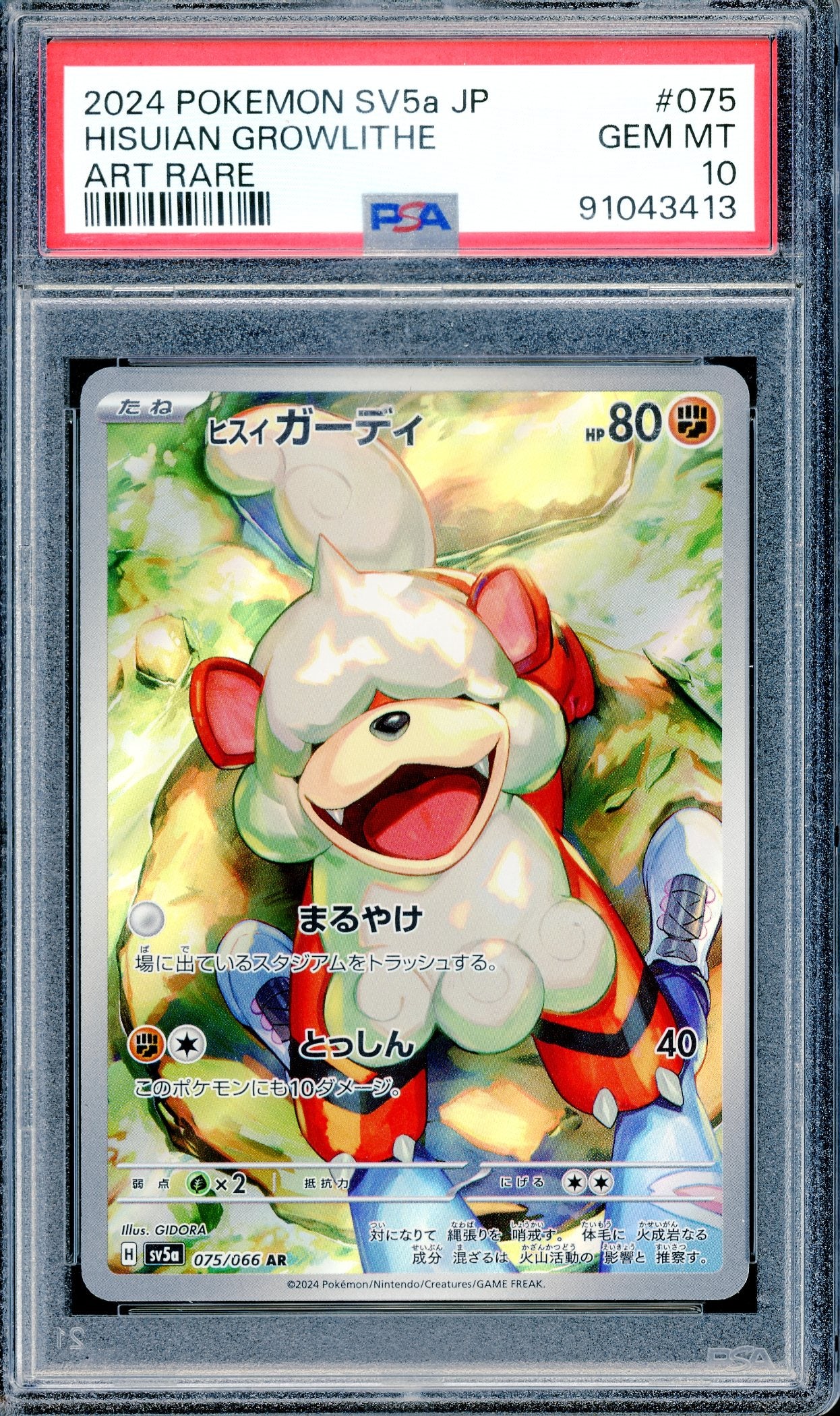 PSA 10 Japanese Hisuian Growlithe (075/066) [Pokemon Japanese Crimson Haze]
