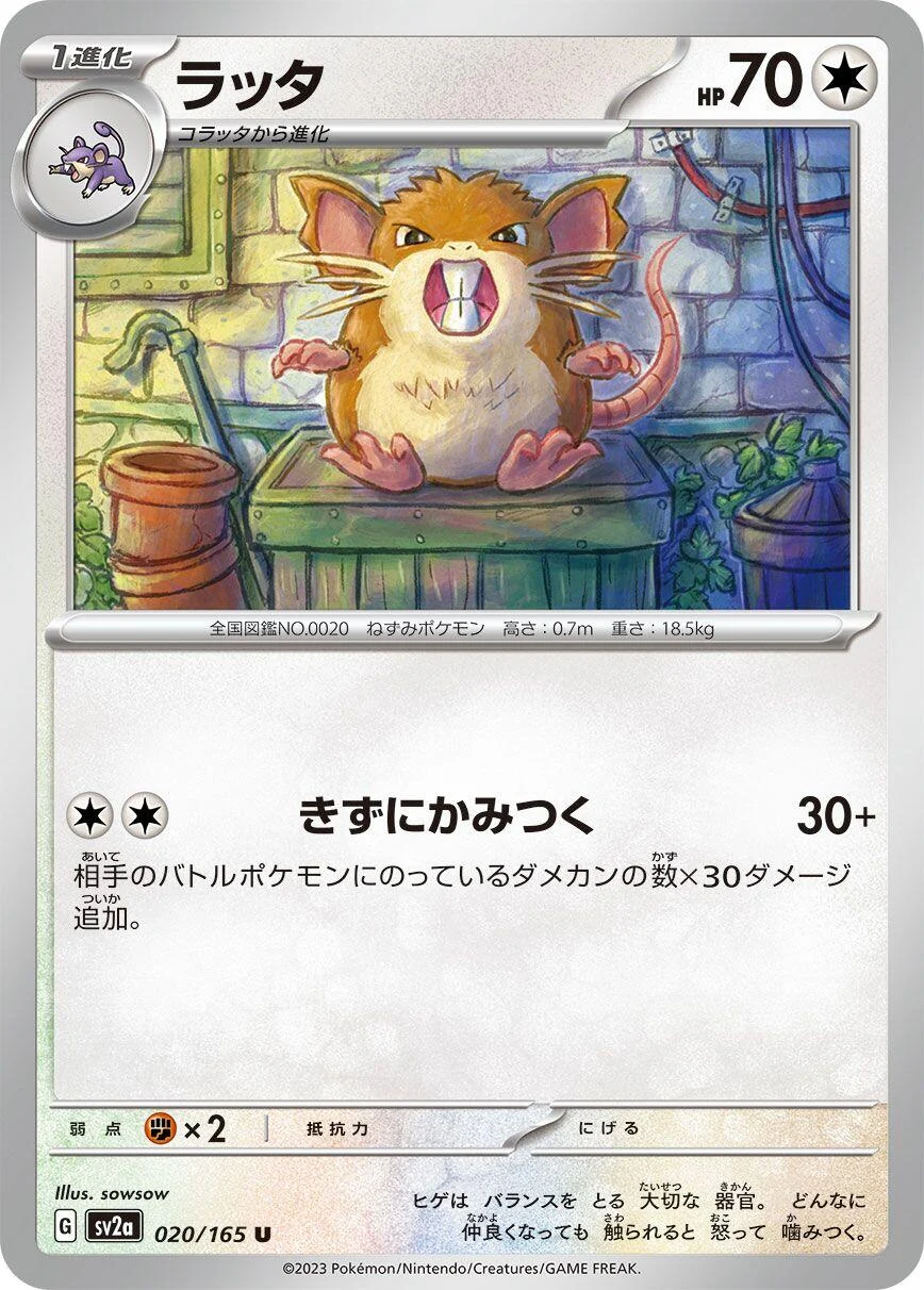 Raticate (020/165) (SV2a: Pokemon Card 151)