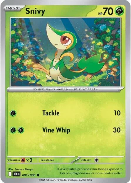 Snivy (001/086) (SV: Black Bolt)