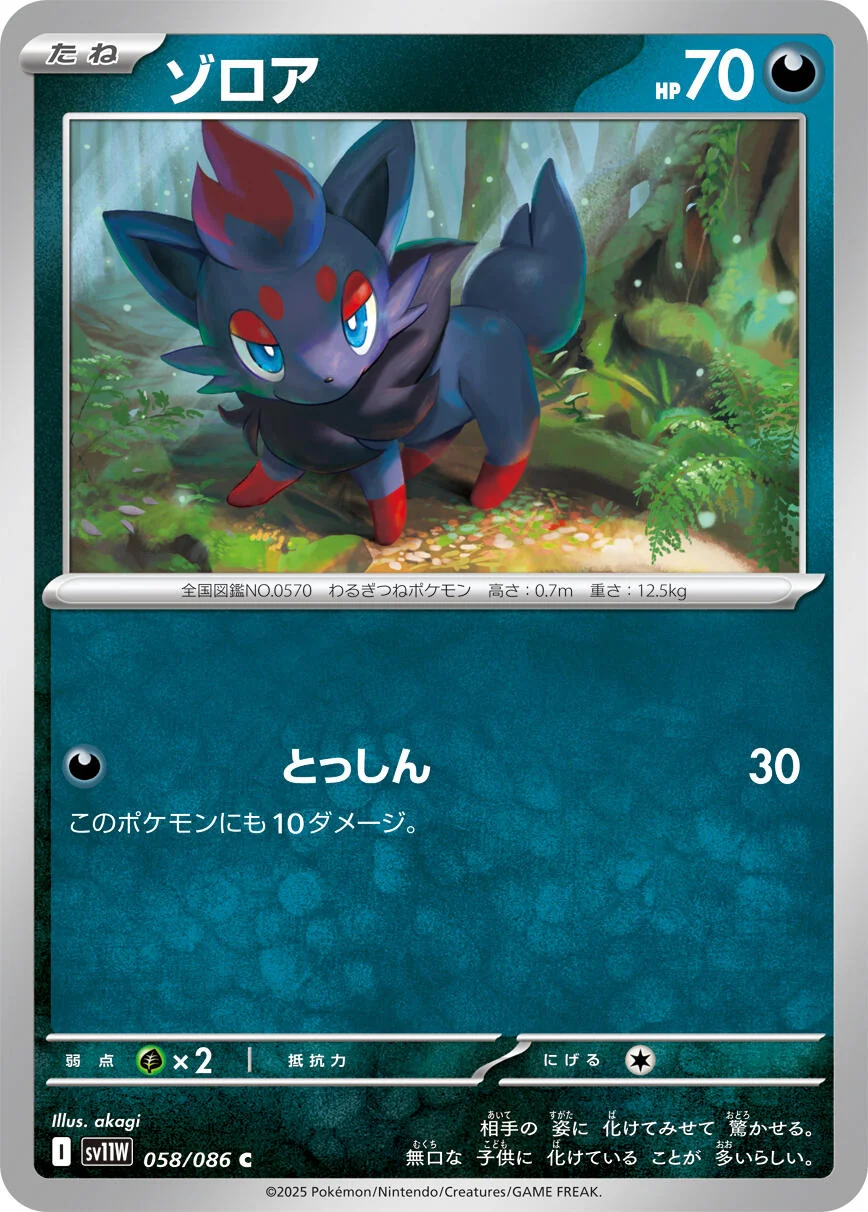 Zorua (058/086) (SV11W: White Flare)